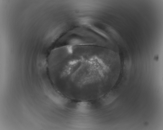 X0000112520320200909071340