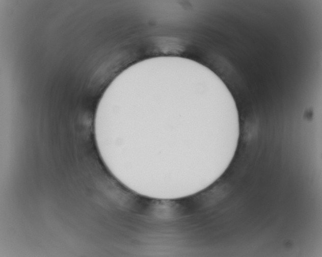 X0000112520321200909071340