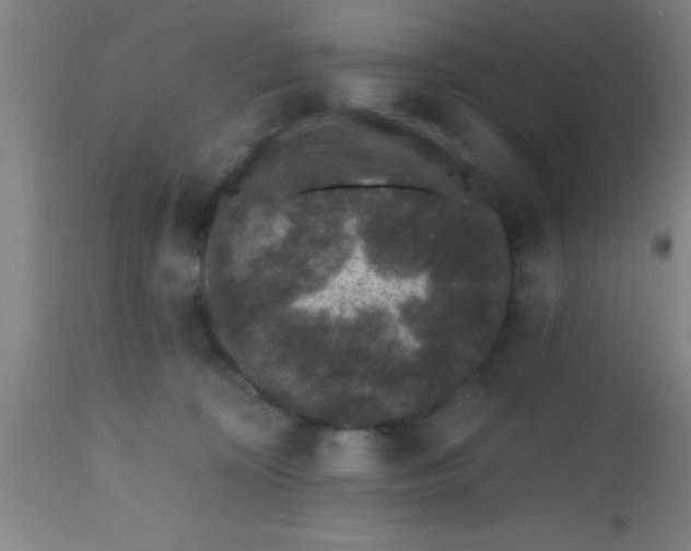 X0000112520324200909071340