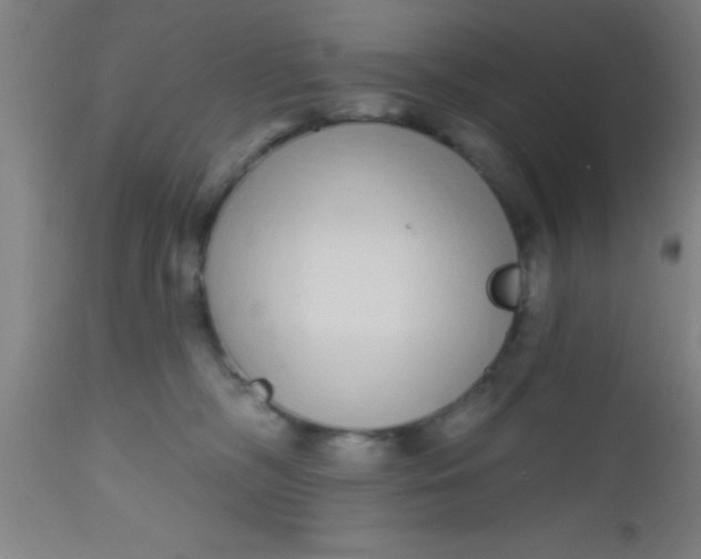 X0000112520326200909071340
