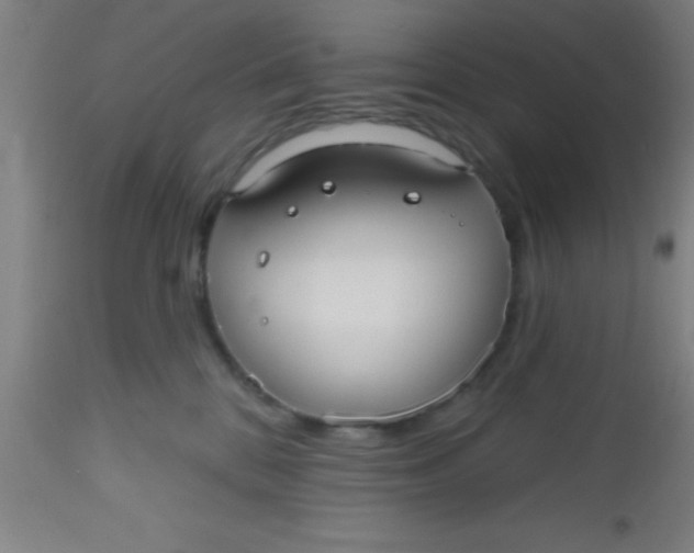X0000112520328200909071340