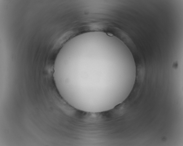 X0000112520329200909071340