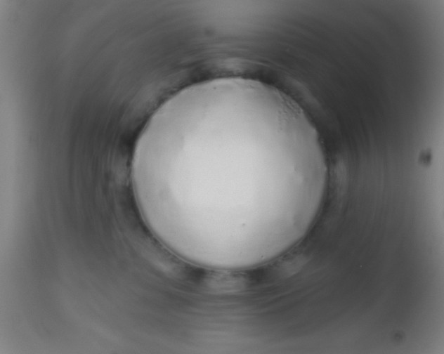 X0000112520331200909071340