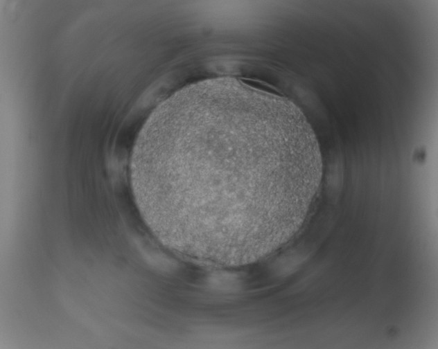 X0000112520332200909071340