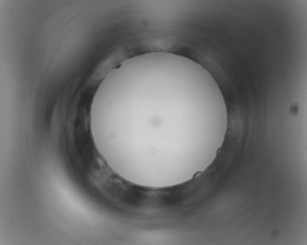 X0000112520334200909071340