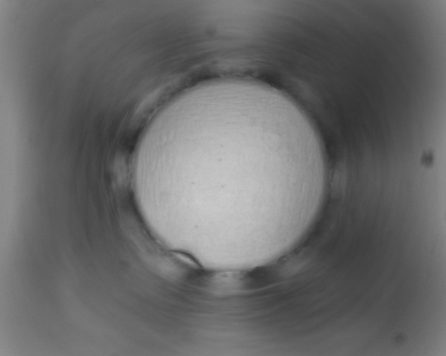 X0000112520335200909071340