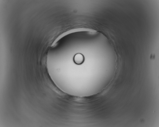X0000112520336200909071340