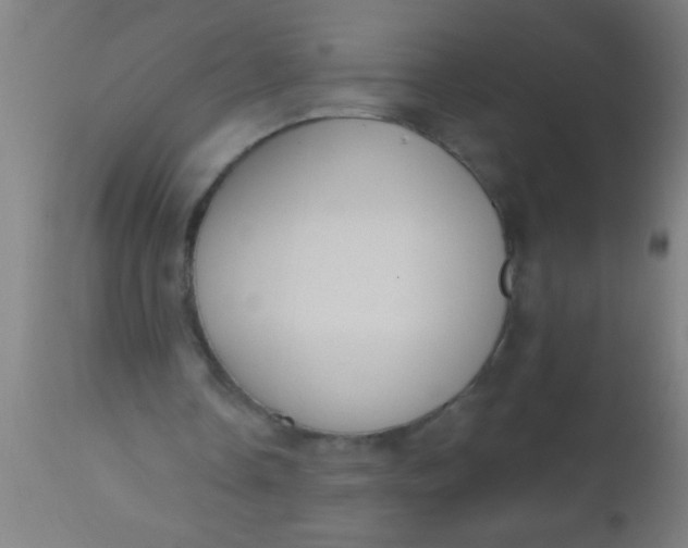 X0000112520338200909071339