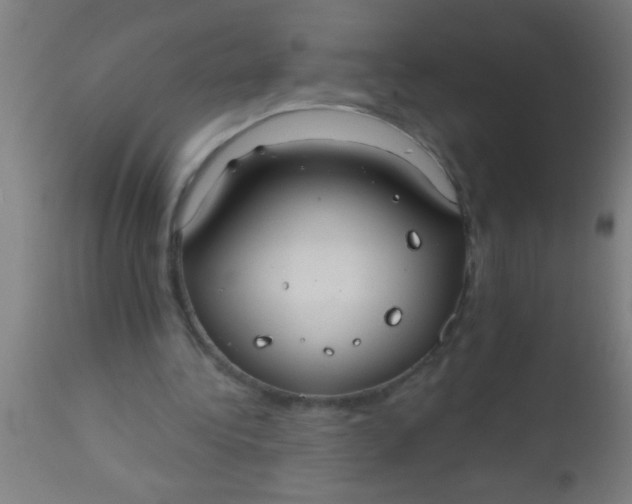 X0000112520340200909071339