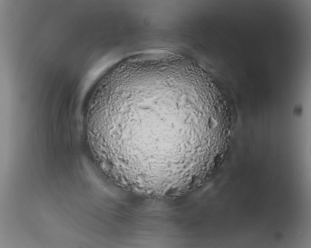 X0000112520343200909071339