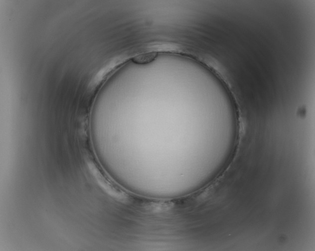 X0000112520345200909071339