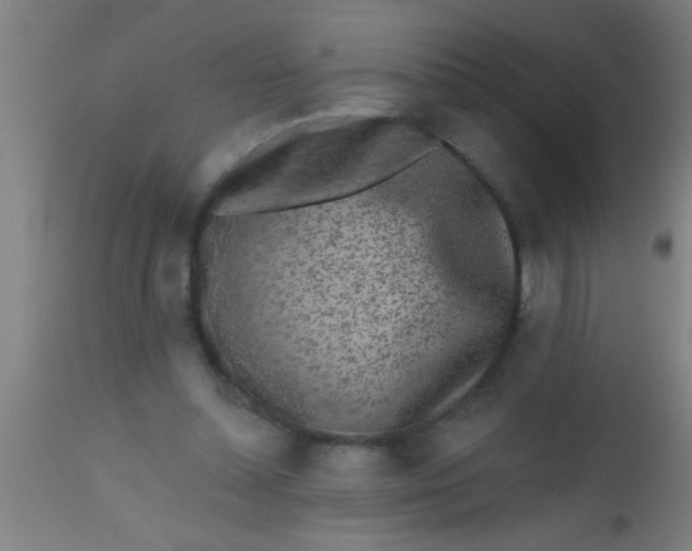 X0000112520348200909071339