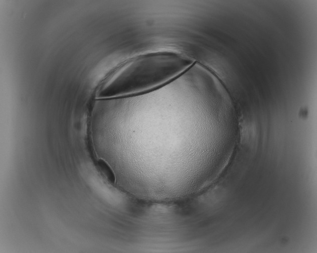 X0000112520350200909071339