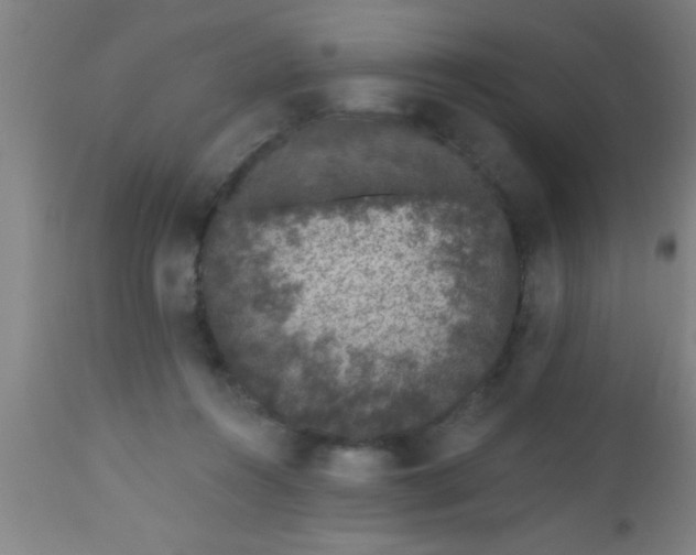 X0000112520360200909071339