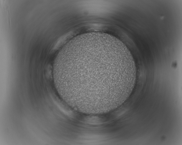 X0000112520361200909071339