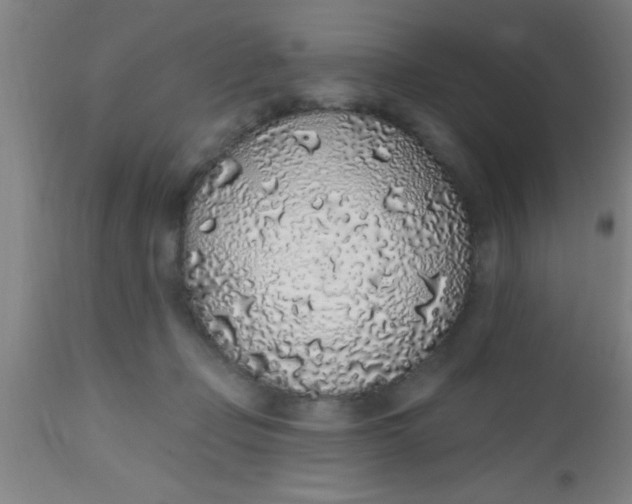 X0000112520365200909071339