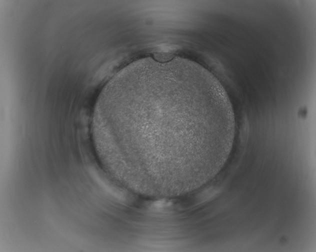 X0000112520366200909071339
