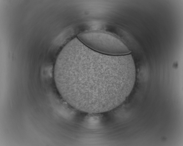 X0000112520368200909071339