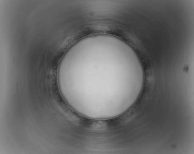 X0000112520369200909071339