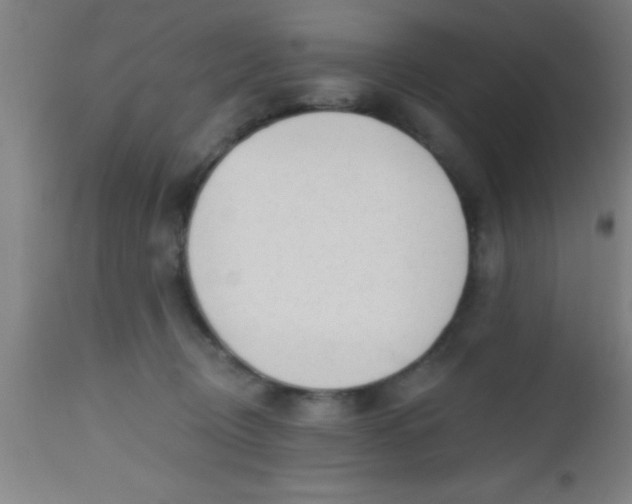 X0000112520370200909071339