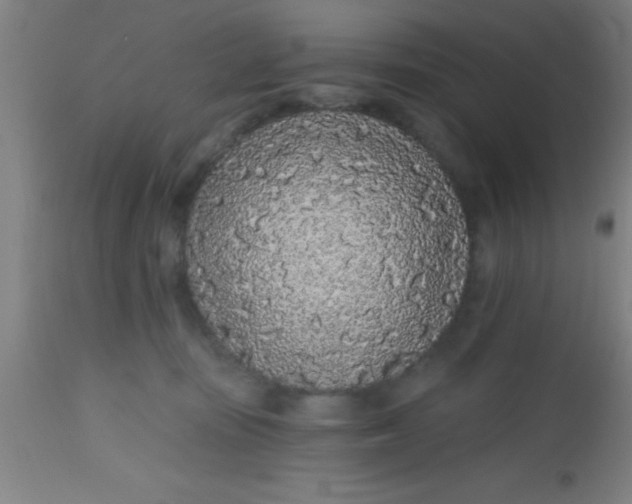 X0000112520371200909071339