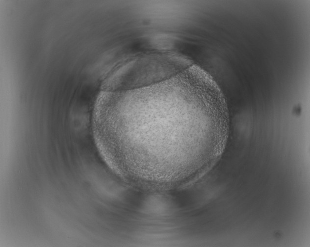 X0000112520372200909071339