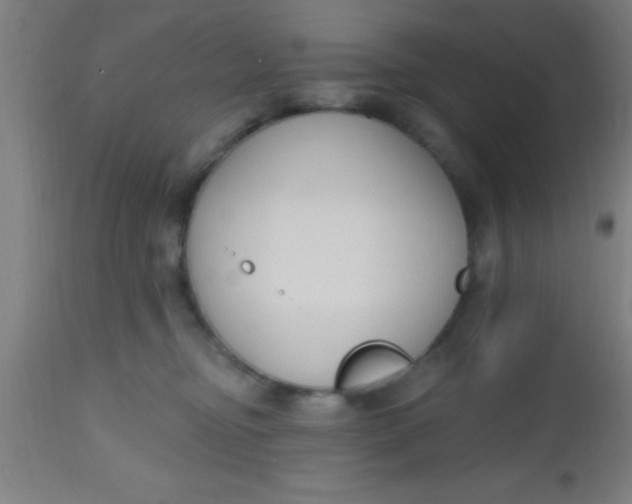 X0000112520374200909071339