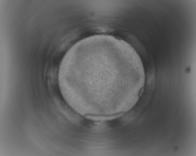 X0000112520376200909071339