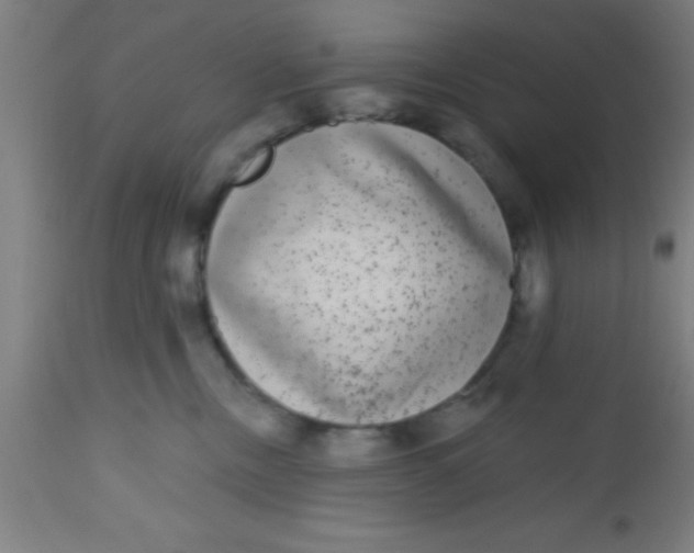 X0000112520378200909071339