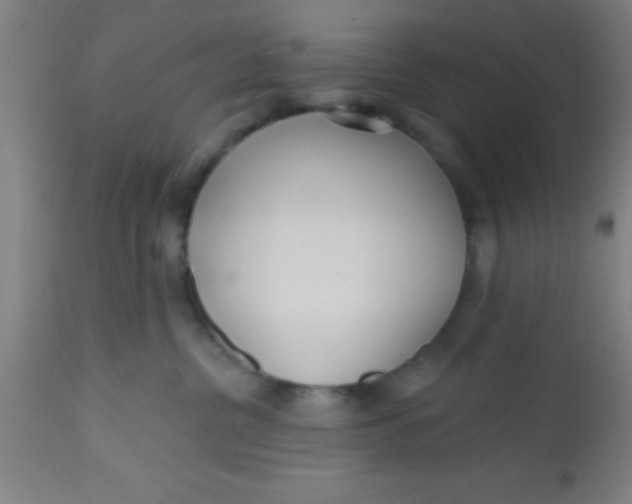 X0000112520380200909071340
