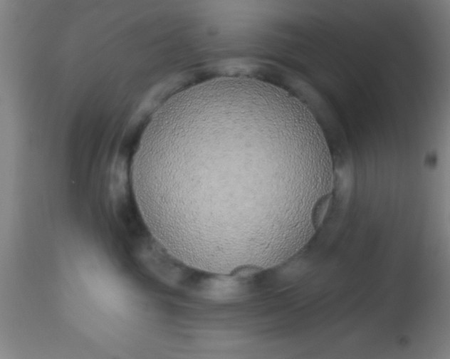 X0000112520381200909071340