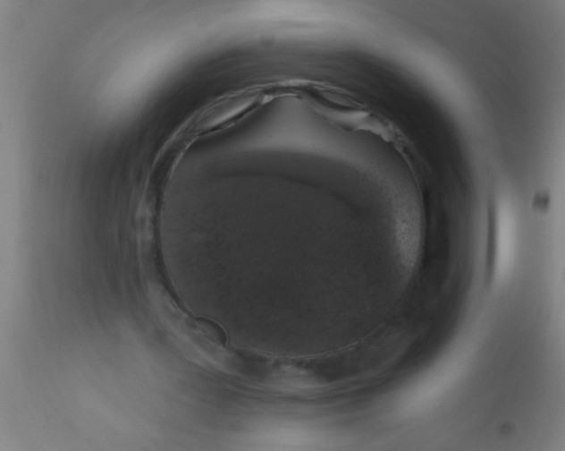 X0000112520387200909071339