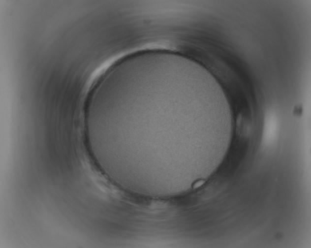 X0000112520388200909071339