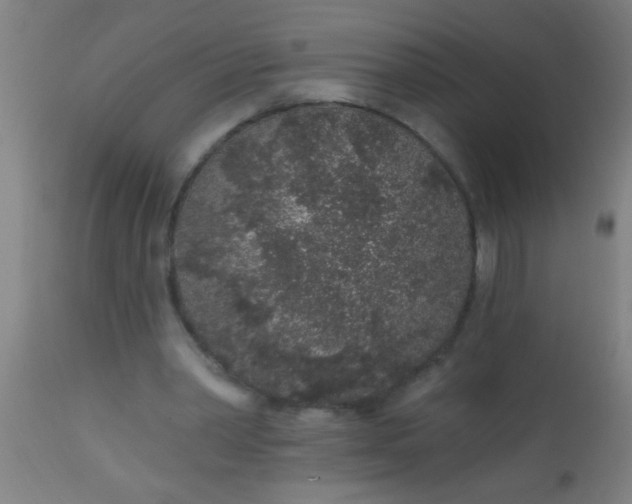 X0000112520390200909071339