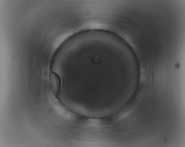 X0000112520391200909071339
