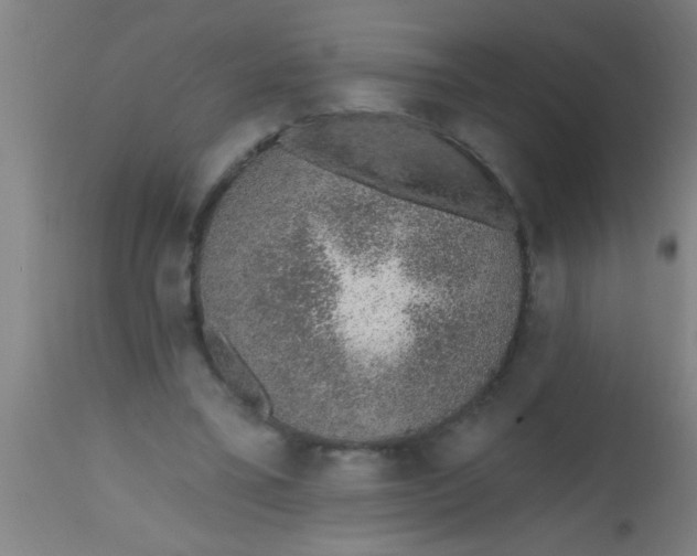 X0000112520395200909071339