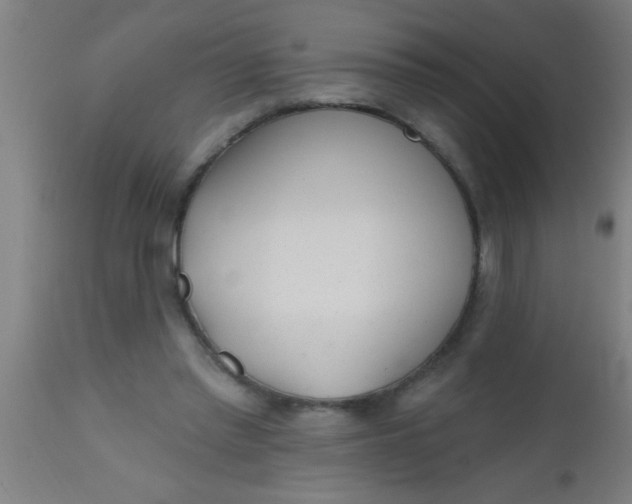 X0000112520397200909071339