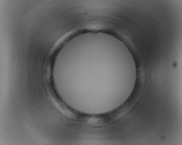 X0000112520400200909071338