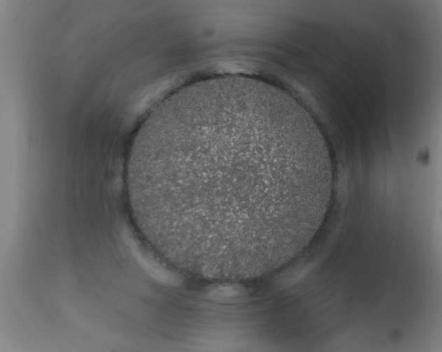 X0000112520402200909071338