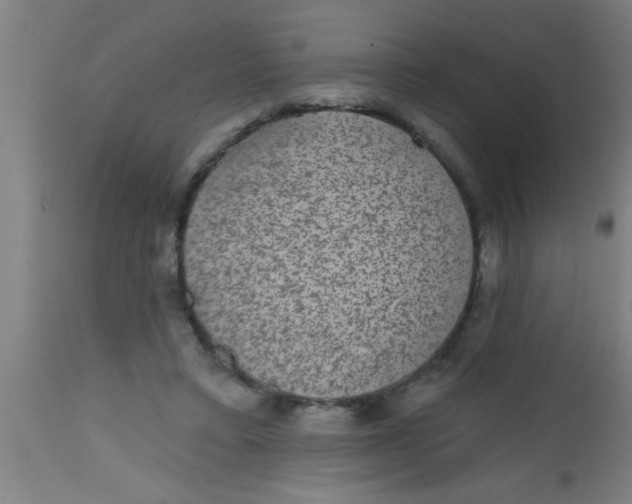 X0000112520403200909071338