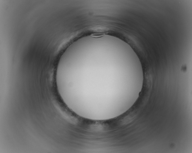 X0000112520404200909071338