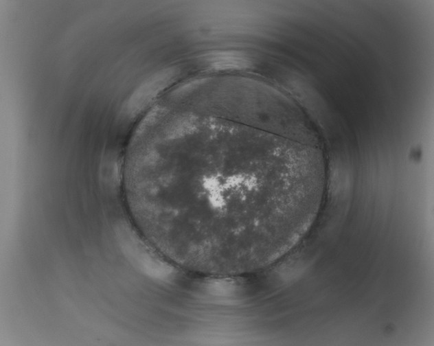 X0000112520405200909071338