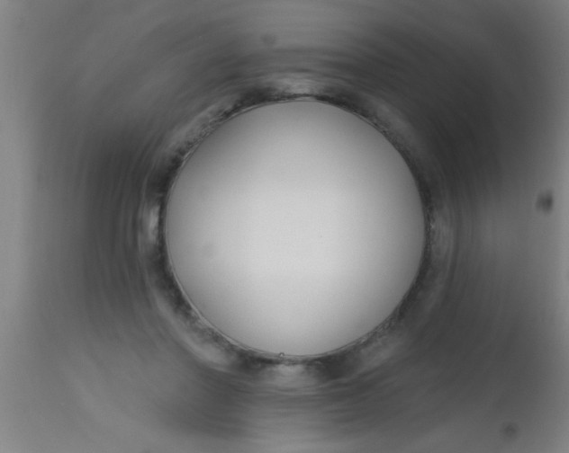 X0000112520406200909071338