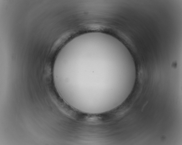 X0000112520407200909071338
