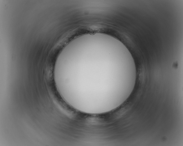 X0000112520408200909071338