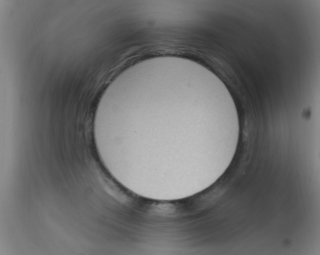 X0000112520409200909071338