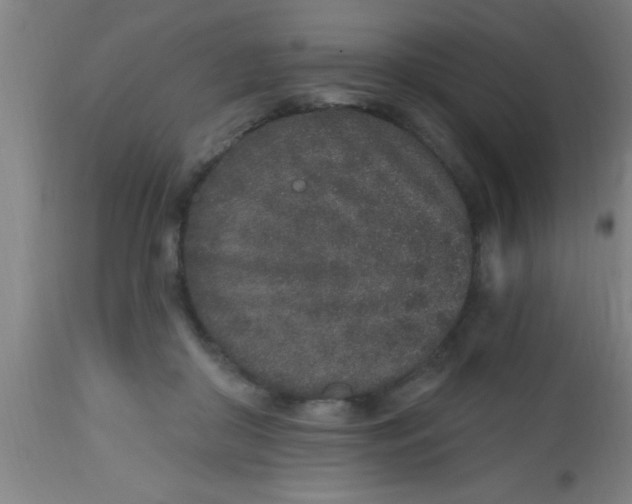 X0000112520410200909071338