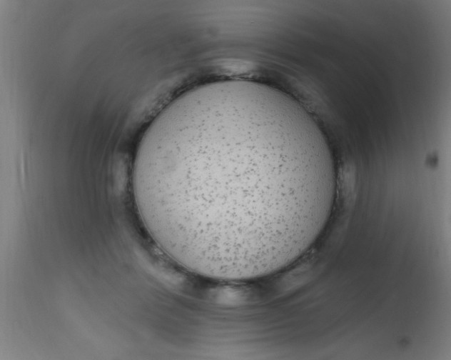 X0000112520412200909071338