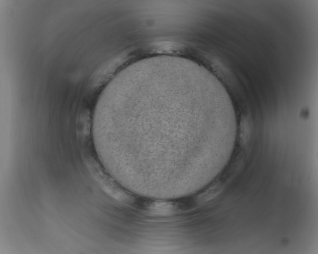 X0000112520413200909071338