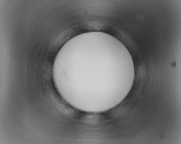 X0000112520414200909071338